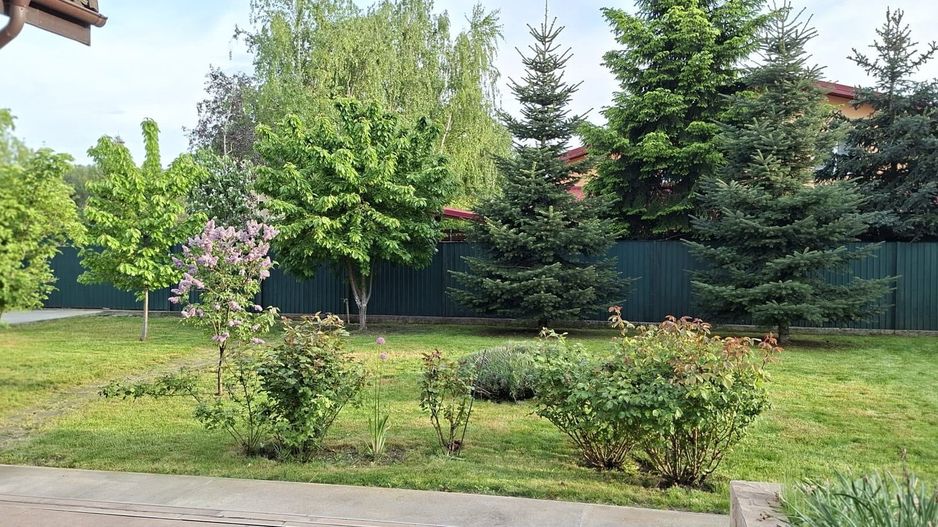 MOGOȘOAIA – VILĂ CU 4 CAMERE, TEREN 971 MP, CURTE ȘI GRĂDINĂ! - Poză 20