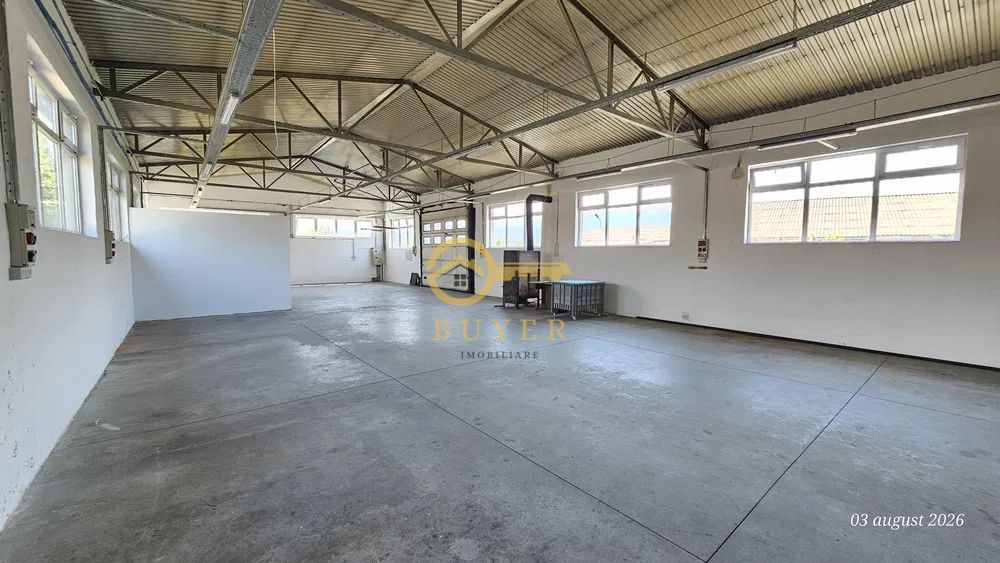 Hala industriala de inchiriat in Talmaciu- 175 utili- pret atractiv - Poză 1