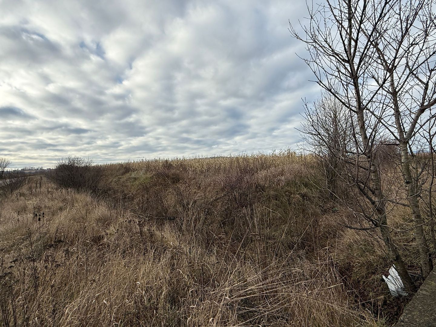 VAND TEREN 46 ARI | VOLOVAT | 47.000 EURO | - Poză 7