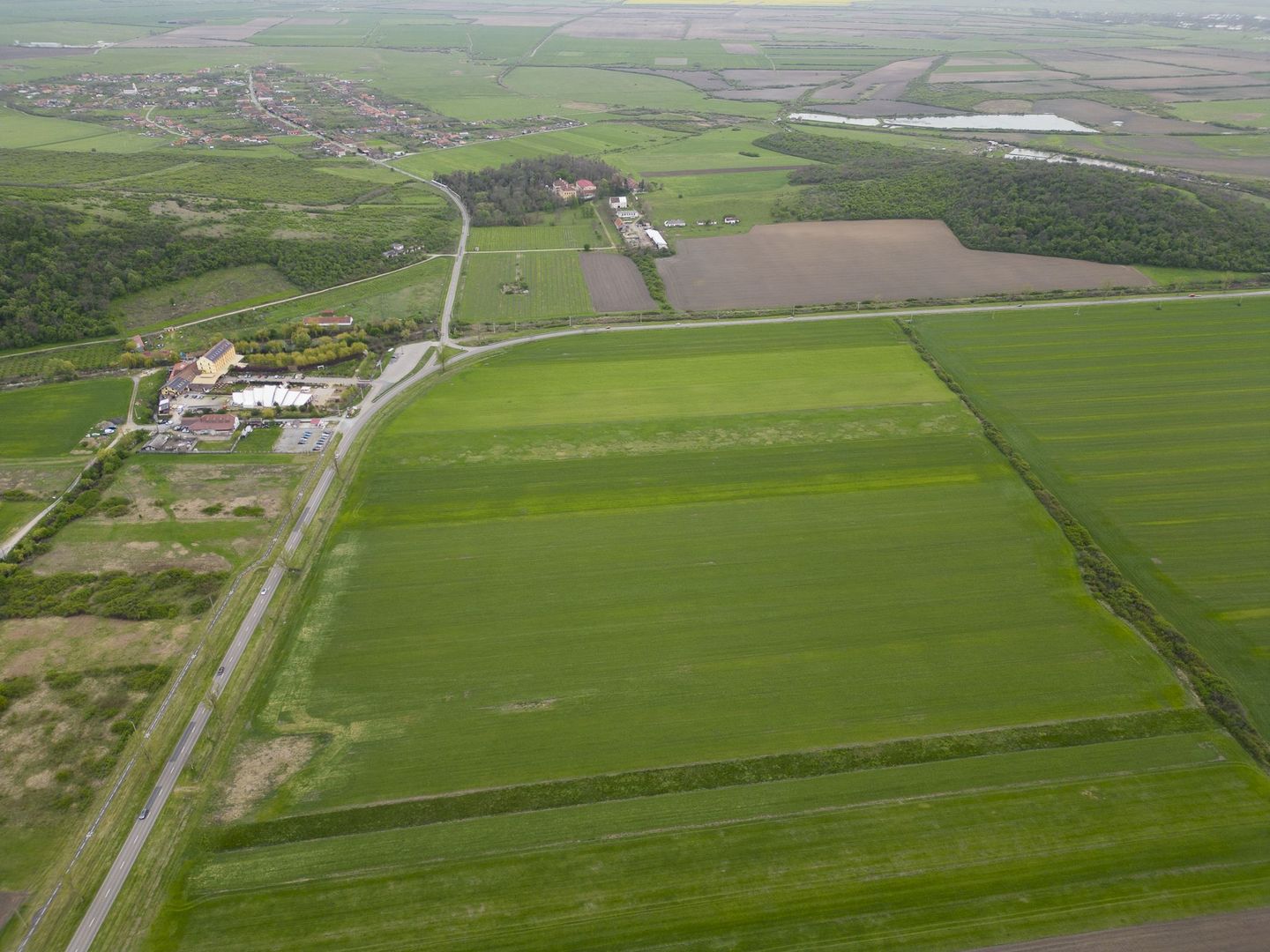 Teren extravilan de 22500mp Zona Ineu - Poză 2