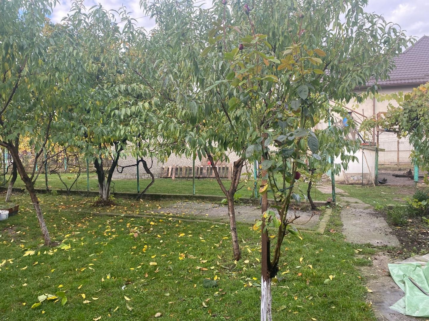 Vanzare casă cu teren generos în Săcueni, la 15 minute de Târgoviște - Poză 14