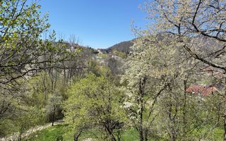 Teren 2500 mp Sohodol - Poză 15