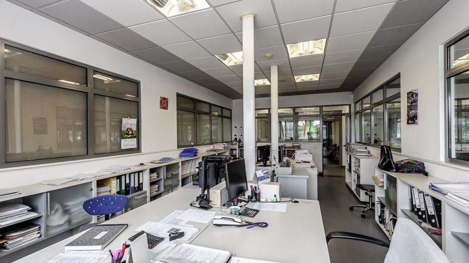 Oportunitate: Hală de producție și depozitare cu birouri în Arad - Poză 6