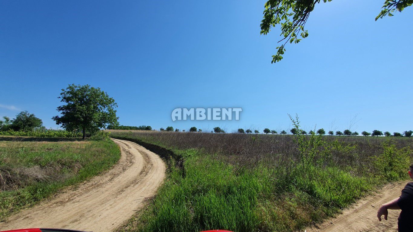 Teren INTRAVILAN pentru investiție, zona SECUIA; - Poză 1