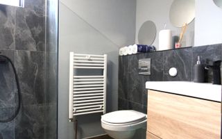 Casa individuala, curte/gradina/parcare; zona Balcescu. Birouri. - Poză 13