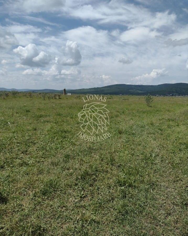 Teren 23700 mp (2,37 ha)-ideal investitie,cabana-Sesul Jelnei - Poză 4