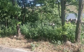 Casă de vânzare, sat Gropnița, teren 900 mp, 25 km de Iași - Poză 5