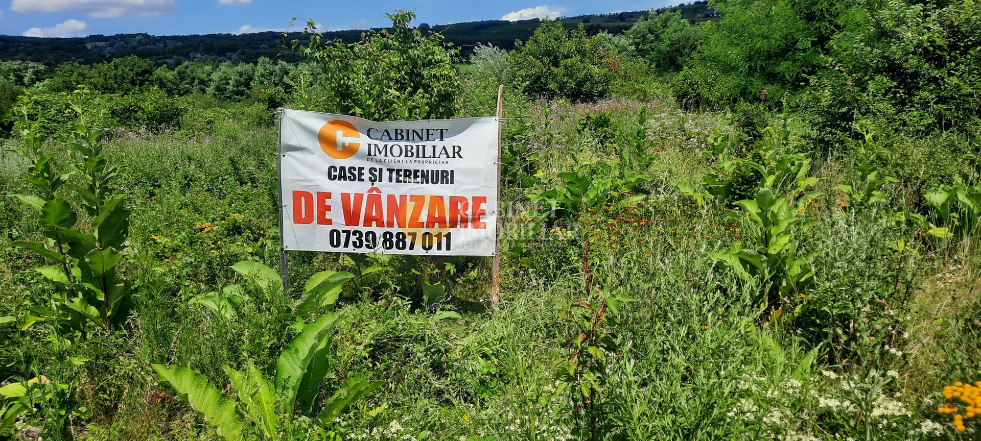 🌳 🌞🌿 TEREN INTRAVILAN OSOI 2800 mp - 49.999 Euro ! 🌳🌞🌿 - Poză 3