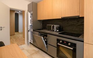 Închiriere apartament 2 camere, parcare, Între Lacuri,  Iulius Mall - Poză 3