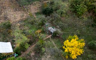 Teren 18,300mp Ghioroc - Poză 7