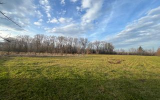 TEREN INTRAVILAN GENEROS | 72 ARI | GALANESTI - Poză 3