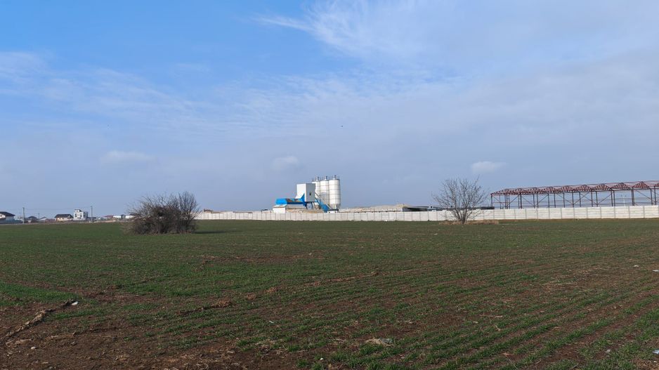 Dragomiresti Valea - Langa Centura, teren 31.200 mp, 28E/mp - Poză 3