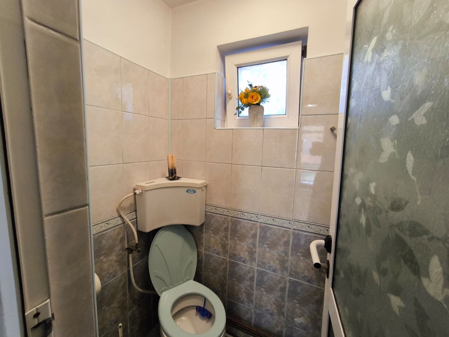VIILE NOI - casa cu o curte generoasa disponibila imediat - Poză 13