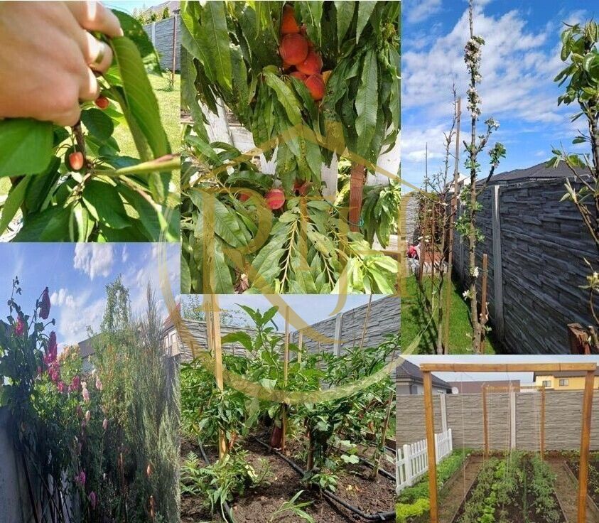 Oferim spre vanzare 1/ 2 Duplex mobilat si utilat in Mosnita Veche! - Poză 9