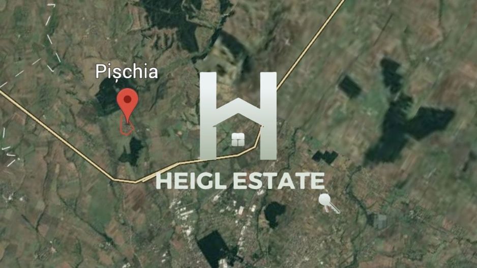 Teren intravilan Pischia - Poză 3