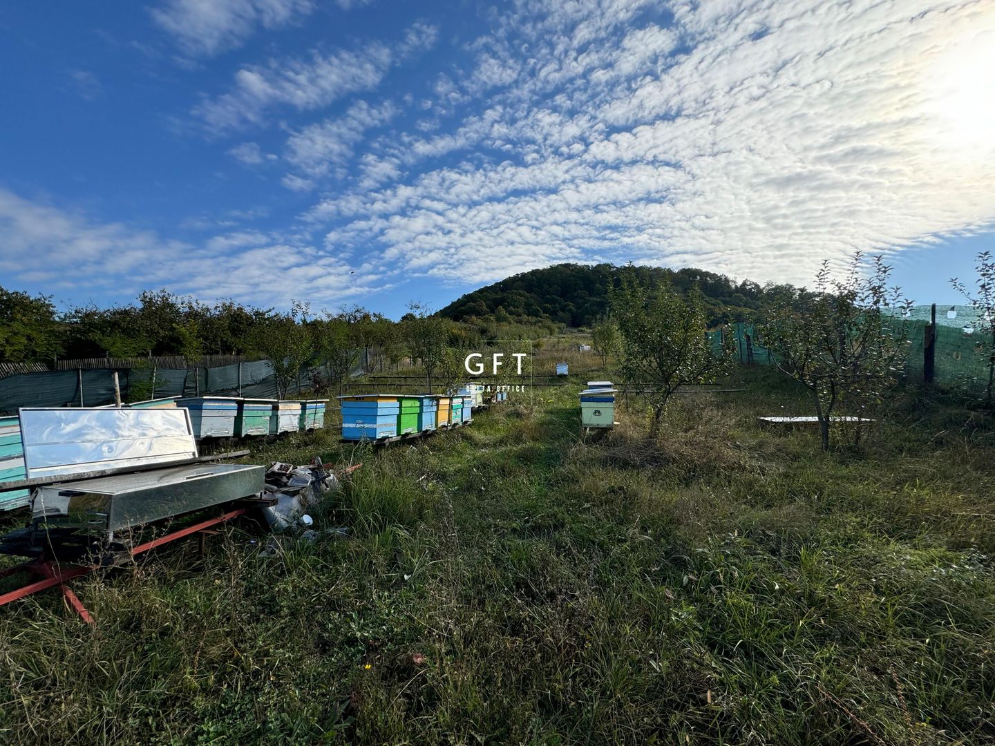 Teren de vanzare, Valea Ghinzii, parcele de 5-6 ari - Poză 4