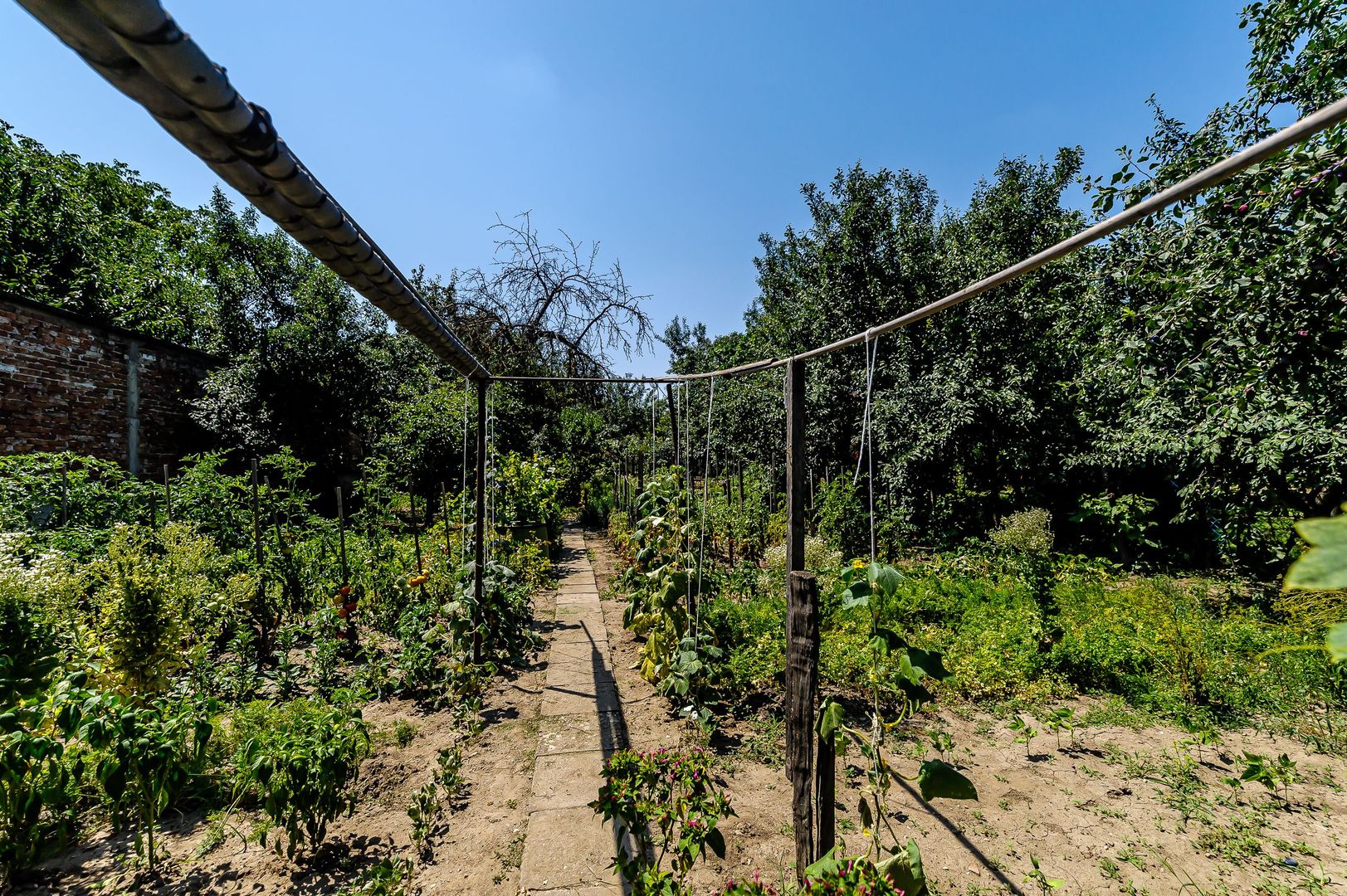 PRET NOU!!! Casa in Parneava - Poză 8