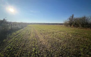 Teren intravilan de vanzare | 12.650 mp | Ghirdoveni | Comision 0% - Poză 13