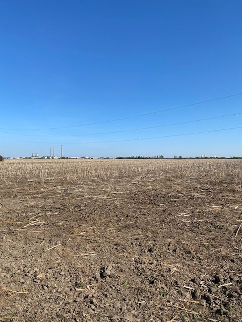 Teren agricol în Zona Sagului - Poză 8