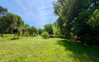 Casă de vânzare-teren 2.300 mp| Ocna Sibiului - Poză 31