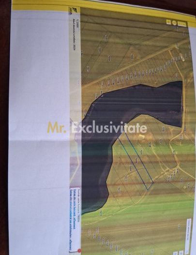 Teren la Balta La Gropi Berceni, Vidra, Ilfov - Poză 3