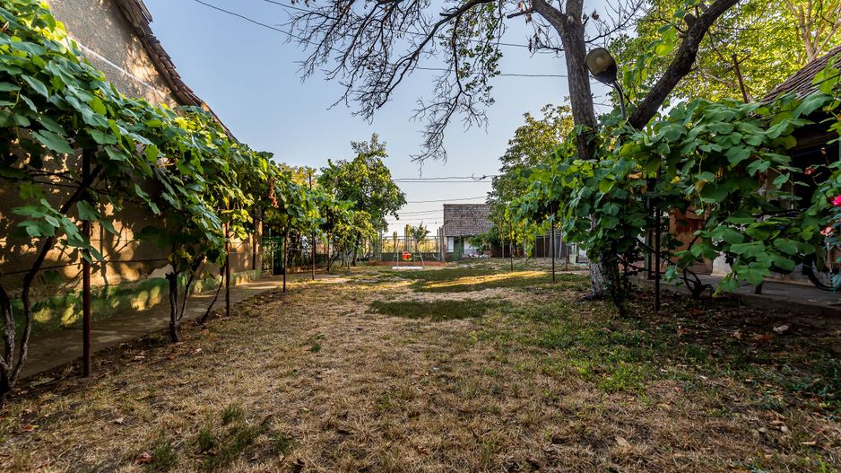 Casă cu teren 3.950 mp | Dorobanți | 63.500 € negociabil - Poză 3