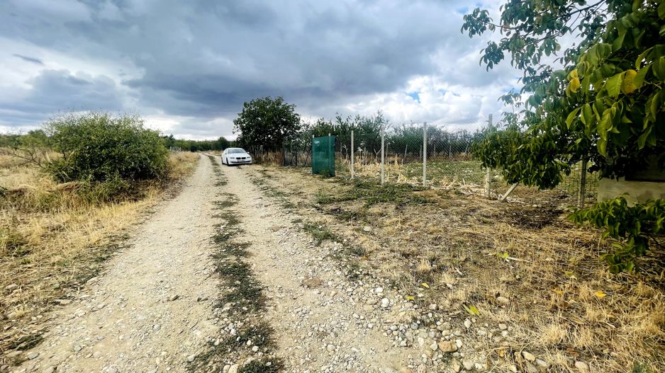 Teren intravilan de 2200 mp în Paleu – Front stradal 18 ml - Poză 3