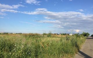 Teren intravilan in comuna Domnesti - sat Teghes - Poză 8