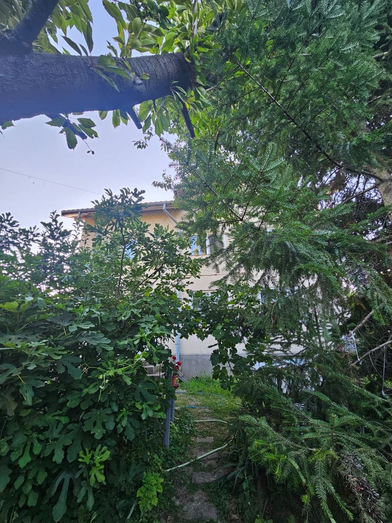 Casă / Vilă cu 8 camere de vânzare în Lapus, Craiova - Poză 4