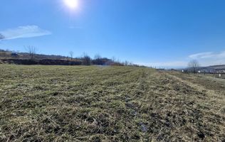 COMISION 0% - Teren INTRAVILAN Hamba, jud. Sibiu