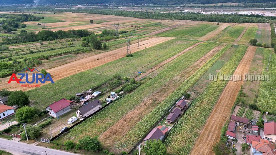 AZURA Imobiliare - Teren Budeasa Galasesti Calotesti - Poză 6