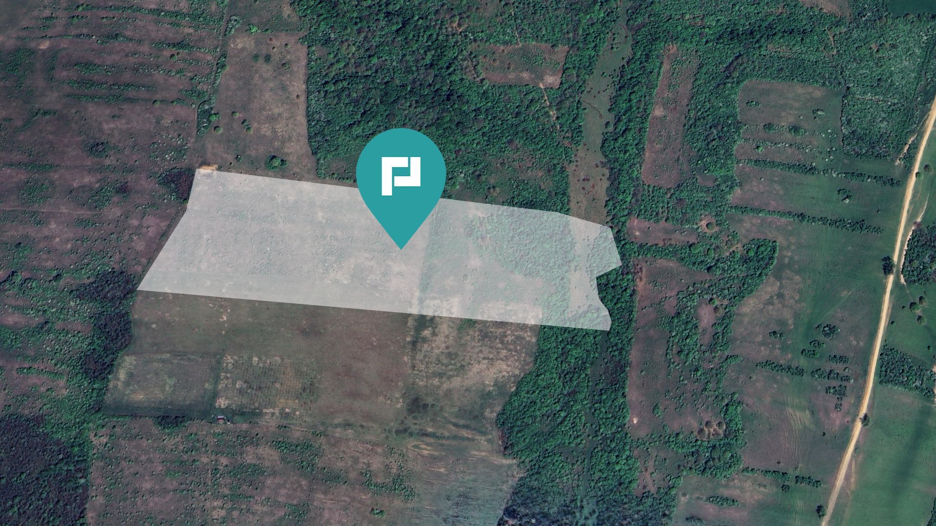 Teren arabil de 11,3 hectare în Bara, Timiș - Poză 3