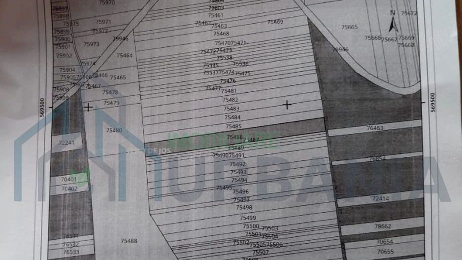 Livadă pe rod de 1570 mp, cu acces facil, în Muntenii de Jos, județul Vaslui - Poză 1
