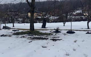 ANSAMBLU DE CASE CU 5 CAMERE 110MP TEREN 2530 MP BUGHEA DE JOS ARGEȘ - Poză 19