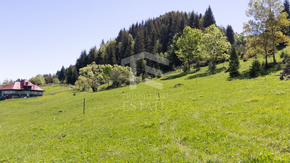 Fundata-Teren de vanzare 15,771 mp intravilan+extravilan+padure - Poză 12