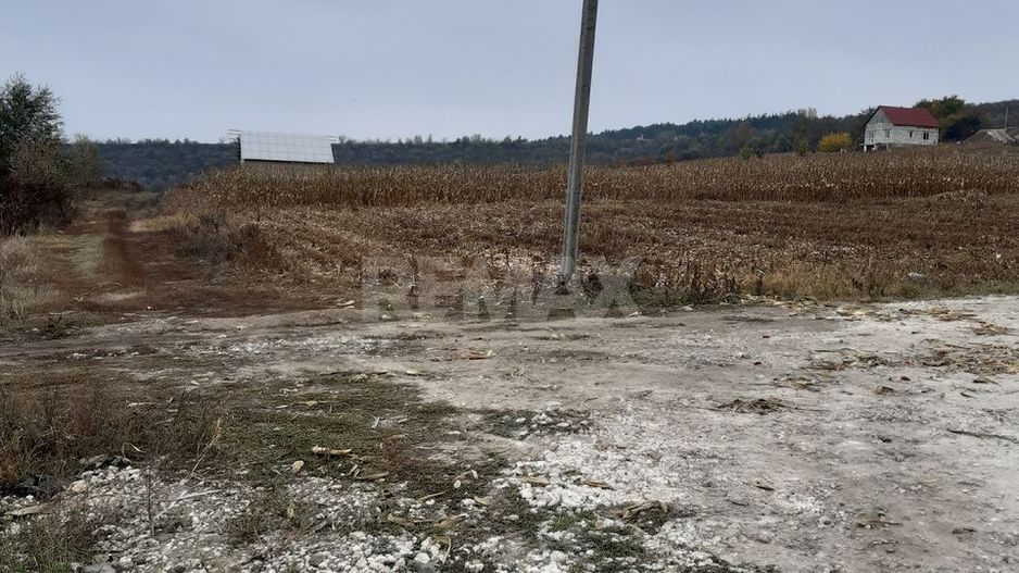 Teren pentru construcții – 7 ari, Zaicana - Poză 3