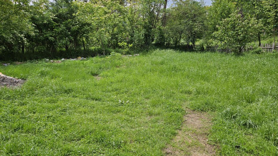Vanzare casa Stroesti - Valea Valsanului - Poză 8