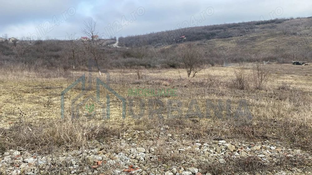 Vând teren extravilan (2026 intravilan) 2500 mp parcelabil zona hlincea lunca cetatuii - Poză 5