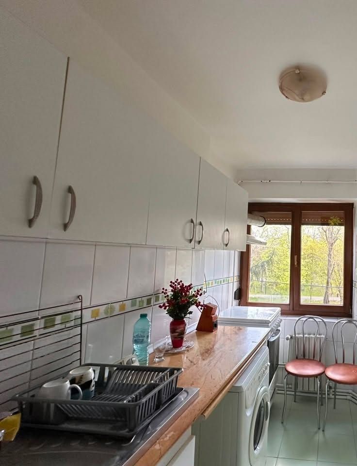 De inchiriat apartament cu 2 camere, etaj 2, Gradina Publica, 400 euro - Poză 7