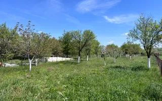 Casă de vacanță + livadă | teren 3000 mp | Chijic | Bihor - Poză 13