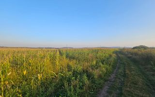 Teren intravilan, 1476 mp, Zona Ungheni - Poză 4
