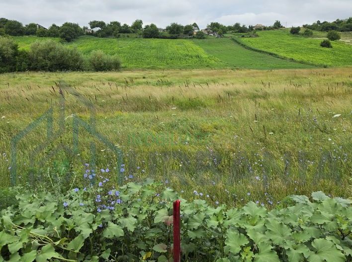 Teren extravilan parcelabil de 9.300 mp în Dorobanți/Aroneanu, aproape de Baza Nautică - Poză 2