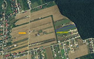 Balotesti- Dumbraveni- Padure - Poză 2