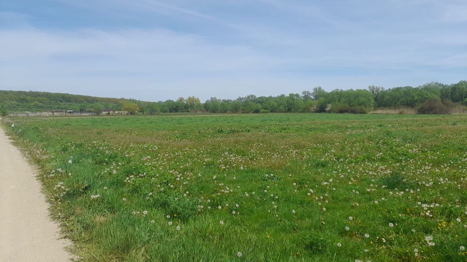 Teren de vanzare intravilan 5000 m2 Cisnadie zona SOMA - Poză 3