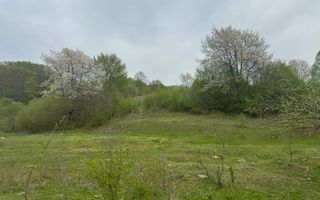 TEREN EXTRAVILAN 40000 MP, ALBESTI DE MUSCEL, CANDESTI - Poză 12