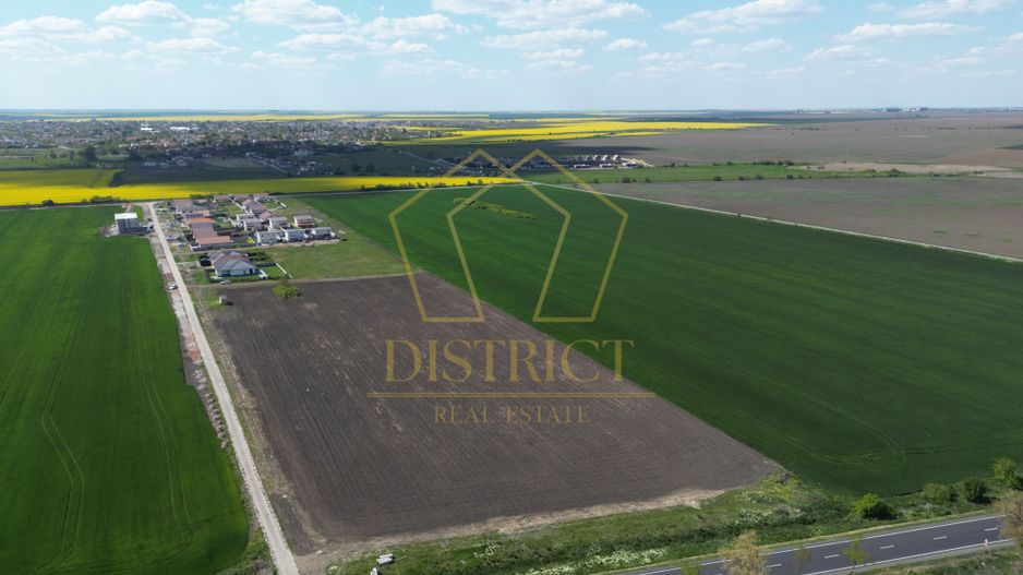 COM 0% Parcela cu deschidere la DN69, hale, servicii | Sanandrei - Poză 3
