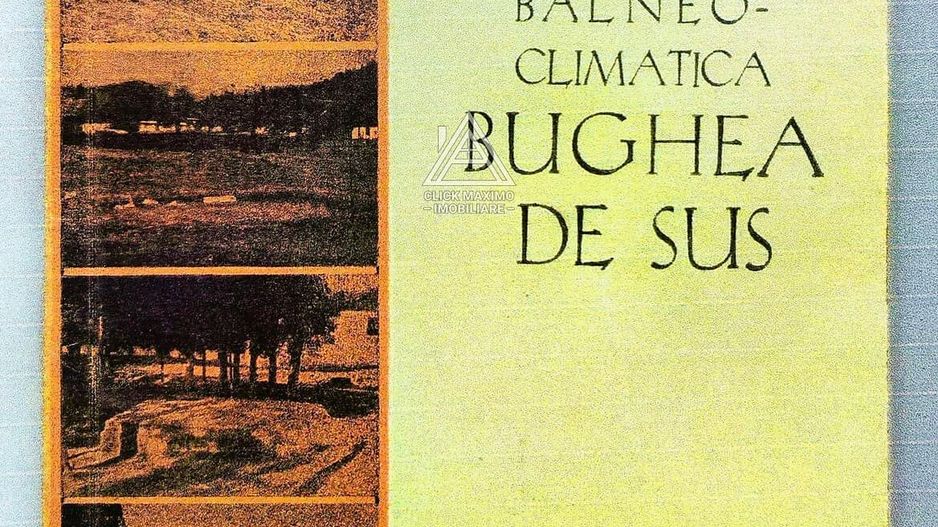 Teren 8 ha cu 15 izvoare minerale, lângă Câmpulung Argeș - Poză 6