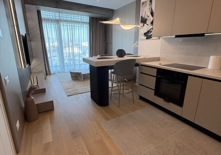 Apartament 2 camere - Calea Floreasca/Lacul Floreasca - Poză 1