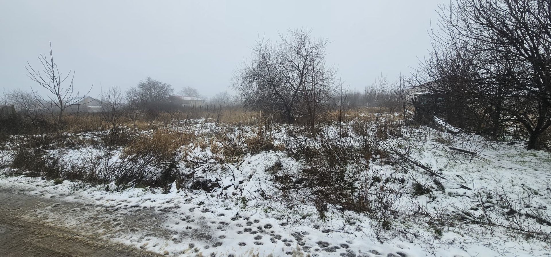 Exclusivitate MAG Invest – Teren 2300 mp Vanatori, ideal investitie - Poză 5