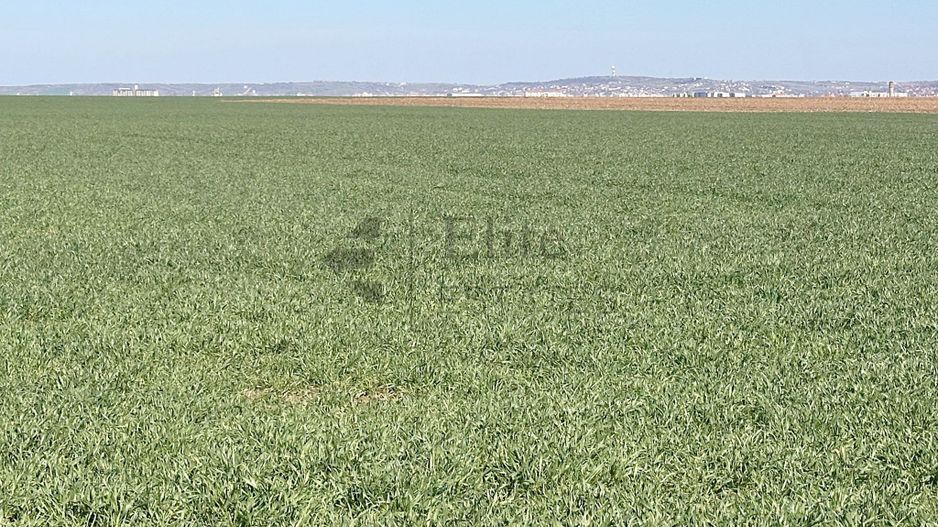 Teren 20.141 mp de vanzare in zona Aeroportului Oradea - Poză 2